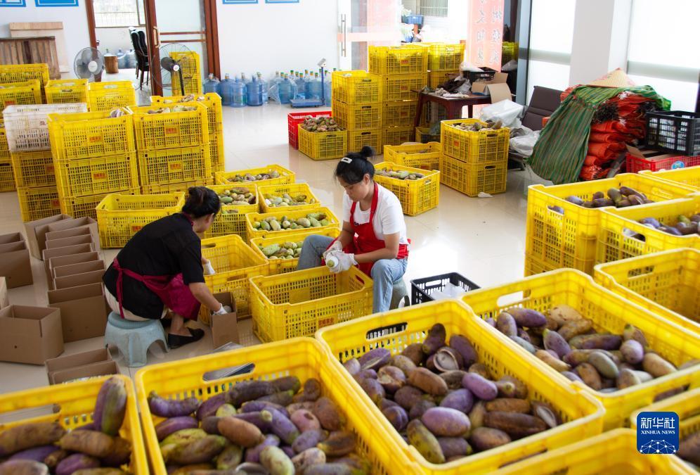 广东推倒胡麻将下载